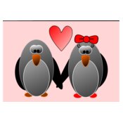 penguins in love