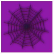 Spider Web Icon2